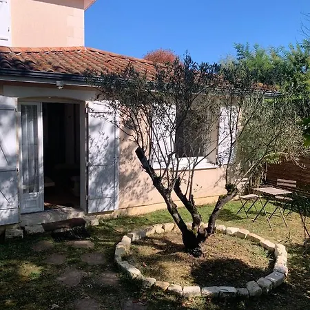 Beau T2 Meuble Recent