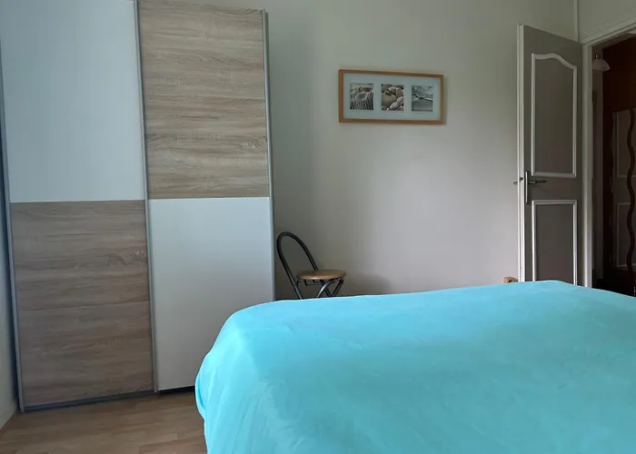 Beau T2 Meublé Récent